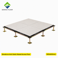 Dalle de plancher technique antistatique ESD Woodcore 600x600mm pour hôpital, centre de données, salle de serveurs, salle réseau SENMAI
