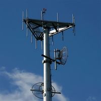 Tour télécom monopode avec structure en acier personnalisée