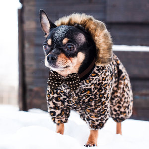 Autumn New Classic Luxury Floral <b>Bow</b> Tie <b>Dogs</b> Maillard Color Polyester Pet Apparel Accessory All Seasons - Product Image 6