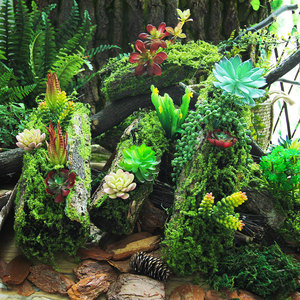 Ornements en plastique créatifs, ensemble de décoration de <span class=keywords><strong>jardin</strong></span> fait à la main, fenêtre, plante tropicale de la forêt tropicale, design d'angle, utilisation en extérieur/intérieur - Product Image 2