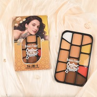 Palette multifonction longue tenue : Poudre de visage, Contour, Paillettes, Scintillant, Illuminateur, Blush pour maquillage de fête