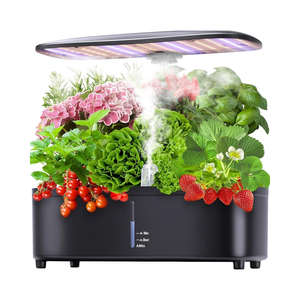 Gift Boxes Valentine's: 5 Thoughtful Indoor Herb & Coffee Kits