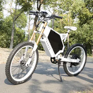 价格便宜的电动自行车电动山地车其他电动自行车快速交货