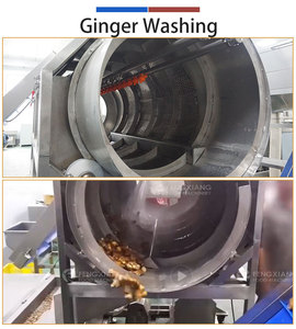 FENGXIANG Ginger Drum Washer Machine 1-2 T/H Customizable Drum and <b>Spray</b> Removes Mud Sludge for Vegetable Processing Plant - Product Image 4