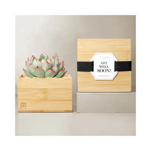 <span class=keywords><strong>Cactus</strong></span>-<span class=keywords><strong>Arbre</strong></span> d'intérieur pour <span class=keywords><strong>chat</strong></span>, simulation de plante succulente, mini bambou, fournitures de jardin - Product Image 1