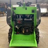 Caricatore cingolato 280kg 350kg 500kg 1000kg caricatore compatto per minipala cingolata con accessori per trincia forestale