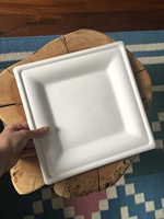 Plateaux à viande de fête en bagasse entièrement biodégradables avec bols couverts et serviettes-Vaisselle d'emballage alimentaire carrée de 8''