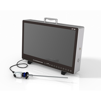 Système de caméra endoscopique médicale portable tout-en-un IKEDA FHD YKD-9124 pour tour laparoscopique et urétéroscope