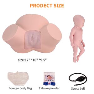 Simulador de Parto a Tamaño Real para Entrenamiento de Partería, Demostración de Parto, <span class=keywords><strong>Obstetricia</strong></span> <span class=keywords><strong>y</strong></span> <span class=keywords><strong>Ginecología</strong></span>, Fetal Normal <span class=keywords><strong>y</strong></span> Anormal - Product Image 2