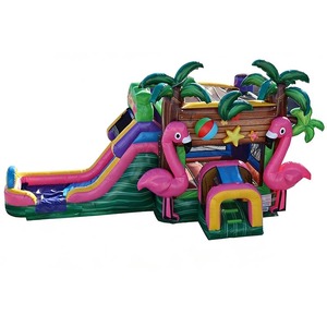 Combo de Castillo Inflable Flamingo Vibes, Castillo Hinchable Comercial para Niños, Domo Inflable, Tobogán Acuático Inflable - Product Image 1