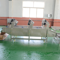 Automatische Bubbel Reiniger Wasmachine Grote Groente Wasmachine Fruit & Groente Wasapparatuur