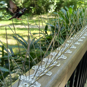 L'uccello a 5 file picchia gli uccelli si appollaiano, fermandosi a nidificare o rimanere a lungo sui balconi - Product Image 5