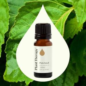 Olio di Patchouli 100% Puro di Grado Terapeutico 10ml, Kit OEM per Aromaterapia, Olio Erboristico per la Salute e Deodorante per Ambienti - Product Image 3