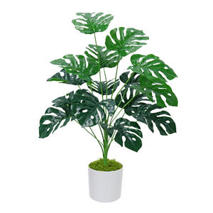 Meilleure Vente Plantes Artificielles Tropicales Monstera en Plastique Vert Armée Feuille de Tortue en Pot Écologiques pour Décoration Intérieure et Extérieure - Product Image 6