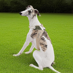 Tali kekang anjing tugas berat X Mesh, tali nilon dapat disesuaikan dengan gesper modis nyaman ukuran XS untuk berjalan mudah - Product Image 6