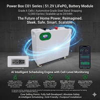 Système de stockage d'énergie Peak Shaving à batterie lithium divisée 51.2V 314Ah LiFePO4 16kWh CAN mural hybride pour la gestion de la charge