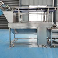 Volledig Automatische Patat Fries Friteuse Machine/Productielijn 2000KG/H Capaciteit Voedselveilige RVS