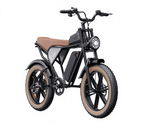 Factory Direct OEM ODM Accepted the Electric Mountain Bike with Hydraulic Disc Brakes and Rear Suspension Fat Tire Electric Bike - Product Image 6