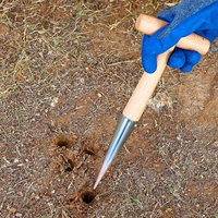 Dibber de truie d'acier inoxydable à manche en bois de fourniture de fabricant pour creuser le sol meuble d'ensemencement transplantant