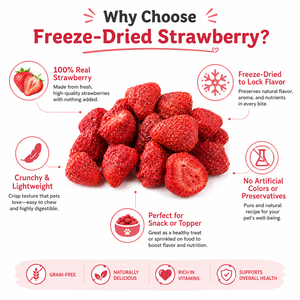 Collations lyophilisées pour animaux de compagnie Fraises lyophilisées Vente en gros de marchandises en vrac Fruits et légumes lyophilisés Collations pour chiens - Product Image 2