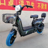 Scooter électrique longue portée deux places, vélo électrique familial pour les trajets quotidiens