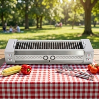 Barbecue électrique en acier inoxydable facile à nettoyer RKMF-TSSK1526, barbecue électrique efficace à vendre