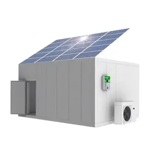 Hete Verkoop Industriële Koelkast Walk In Chiller Koeler Vriezer Koude Kamer Zonne-Energie Koelcel Container Prijs