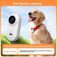 Cámara Deportiva WiFi CMOS 720p HD Magnética, Portátil, para Viajes, Mascotas, Perros y Gatos, Grabación de Vídeo, Venta al Por Mayor de Fábrica