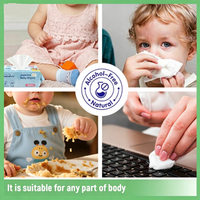 Lingettes Humides Bio pour Bébé en Gros OEM – Douces, Naturelles, Sans Alcool, Non-Tissées (Toallitas Organicas Para Bebe)