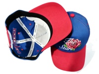 Casquette de baseball en coton 100% brodée sur mesure, unisexe, design 5 panneaux, usage décontracté en plein air, casquettes de baseball en coton ajustables, vente en gros
