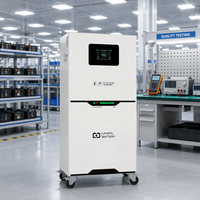 Batterie de stockage d'énergie solaire TIANON, écoénergétique, respectueuse de l'environnement, 51,2 V, 100 Ah, 300 Ah, LiFePO4, IP65, CAN, hors réseau, 16 kWh