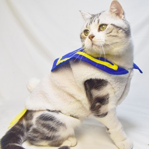 Big Fat Duck Vest Pet <b>Clothes</b> For <b>Cats</b> Dogs Winter Warm Solid Color Cute Design Small Pets Apparel - Product Image 3