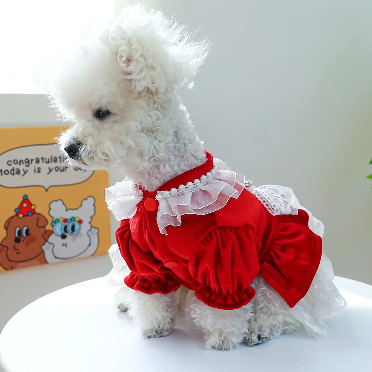 LM0027Kペット蝶結びプリンセスドレス犬のパーティー赤いベルベットフォーマルドレスファッションペット脚付き服