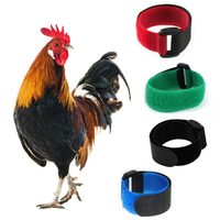 Collier réglable en nylon solide pour poulets, anti-coucou, avec boucle auto-adhésive pour volailles et petits animaux