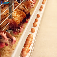Cage à poules pondeuses automatique galvanisée à chaud, cage en batterie pour volailles, équipement complet pour ferme avicole