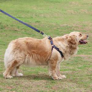 Correa para Perro Estilo Vaquero con Hebilla de Tracción en el Pecho, Duradera, para Paseos y Entrenamiento al Aire Libre - Product Image 4