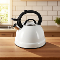 Cuisine de haute qualité bouilloire à sifflet européenne 3L cuisinière à Induction à gaz universel en acier inoxydable thé café bouilloire à eau