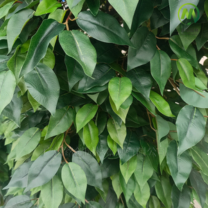 Ficus Artificiale Lussureggiante, Recinzione per la Privacy ad Alta Simulazione, <span class=keywords><strong>Albero</strong></span> di Banyan <span class=keywords><strong>Sempreverde</strong></span>, Alberi <span class=keywords><strong>da</strong></span> <span class=keywords><strong>Giardino</strong></span> per Decorazione e Privacy - Product Image 5