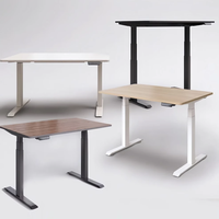 Cadre de bureau électrique personnalisé de haute qualité, stable, à hauteur réglable, à moteur simple et double jambe de bureau debout