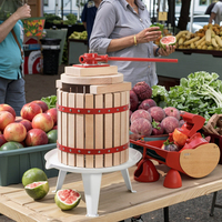 Efficiënte spiraalmotor-sapcentrifuge voor thuis, vrije tijd, gezin, bedrijf, fruitverwerkingsbedrijf, aanvoer van vers fruit, restaurant, merk XH
