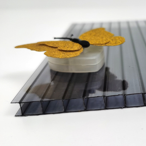 Hoja hueca de policarbonato de 5mm Hoja hueca de policarbonato de <span class=keywords><strong>pared</strong></span> múltiple <span class=keywords><strong>Precio</strong></span> Paneles de techo de PC Plástico de invernadero - Product Image 2