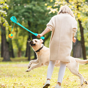 HOMEPLANET Best-seller Jouet à mâcher interactif en caoutchouc <span class=keywords><strong>Club</strong></span> Training Small Large Dog Sports Ball Toy Pet Outdoor Throwing <span class=keywords><strong>Club</strong></span> Ball Set - Product Image 4