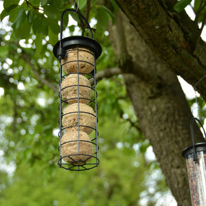 Esschert Design Antique Suet Ball Seed Mixes <strong>Peanut</strong> Hanging Wild <strong>Bird</strong> Feeder for Outside - Product Image 2