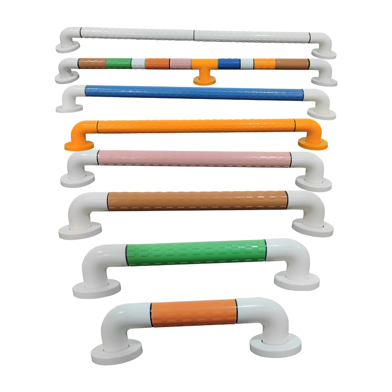Safety Swing up Grab Rail Stainless