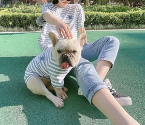 犬と猫用韓国スタイル夏コットンTシャツXSサイズクラシックストライプスウェットシャツ通気性ペット犬ファミリードレス - Product Image 6