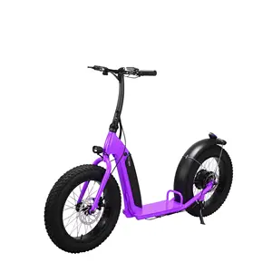 LOHAS Guaranteed Quality Unique Cheap Portable 2 Wheels Folding Electric Scooter