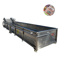 QD Aanpasbare Maat Bubbelwasmachine Industriële Fruit- en Groentewasmachine
