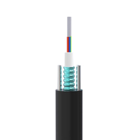 Cable Óptico Blindado GYXTW para Exteriores de 6.0mm de Diámetro, 2000/3000m, 4, 6, 8, 12 Hilos, Monomodo, Rollo Completo para Redes