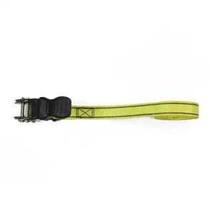 Factory Direct Supply Durable Tensioner Cargo Tensioner Fixing Belt Yellow Endless Strap