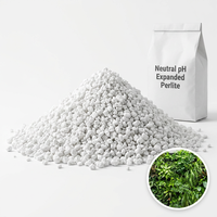 Perlite horticole écologique en granulés, pH neutre, perlite expansée pour le substrat de pot et le drainage des jardins verticaux